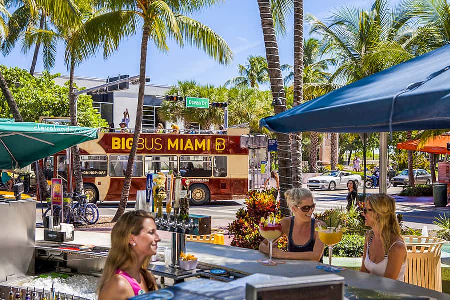 Miami: Everglades Experience, Bay Cruise & Open-Top Bus Tour - The Everglades airboat ride and wildlife show