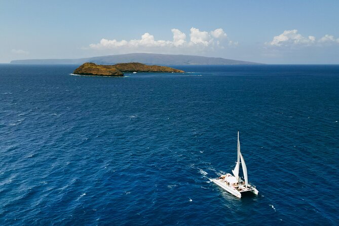 Molokini Snorkel and Performance Sail: Mā’alaea Harbor - Whale watching can turn this into a two-part adventure