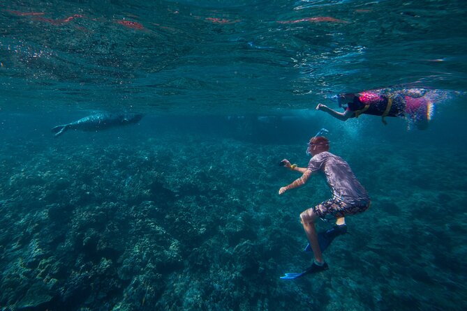 Molokini Snorkel and Performance Sail: Mā’alaea Harbor - How the five-hour schedule feels