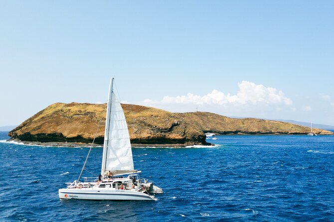 Molokini Snorkel and Performance Sail: Mā’alaea Harbor - Is $200 a fair price?