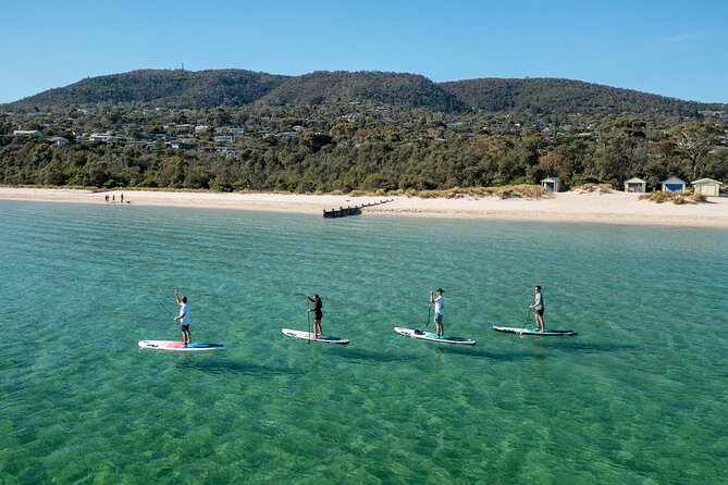 Mornington Peninsula Sightseeing and Bay Cruise - How much value do you get for $121.21?