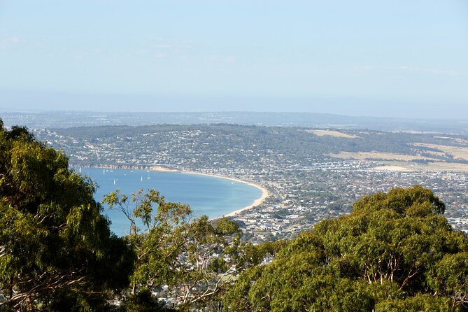 Mornington Peninsula Sightseeing and Bay Cruise - Who will enjoy this Mornington Peninsula route?