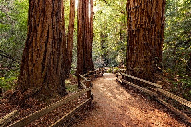 Muir Woods and Sausalito Tour Plus Bay Cruise - Key points to know before booking