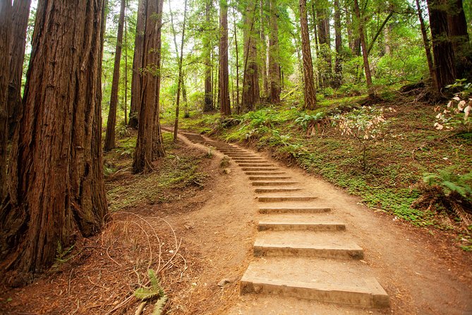 Muir Woods and Sausalito Tour Plus Bay Cruise - Why this combination works in one day