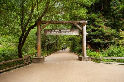 Muir Woods and Sausalito Tour Plus Bay Cruise