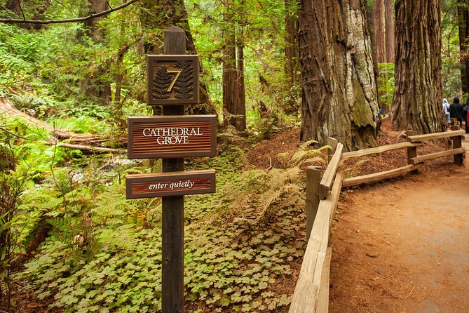 Muir Woods and Sausalito Tour Plus Bay Cruise - Sausalito in one hour