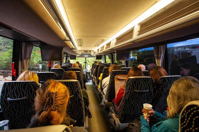 Muir Woods and Sausalito Tour Plus Bay Cruise - Comfort, group size, and guide quality