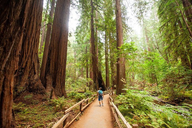 Muir Woods and Sausalito Tour Plus Bay Cruise - The value of $133