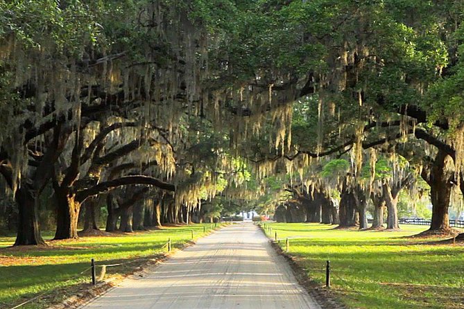 Myrtle Beach to Charleston with Horse & Carriage Ride, Harbor Cruise, Boone Hall - Thirty minutes at Charleston City Market