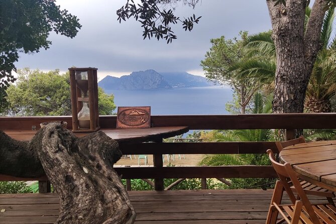 Naples port tour Sorrento and pompeii and overview of positano - Private transport, comfort, and group size