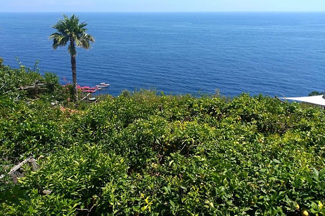 Naples port tour Sorrento and pompeii and overview of positano - What the strong service praise means for you