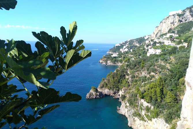 Naples port tour Sorrento and pompeii and overview of positano - Who will get the most from this tour?