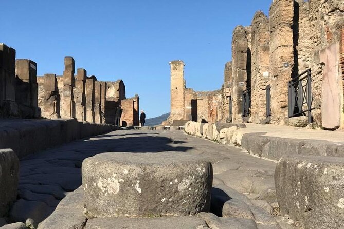 Naples port tour Sorrento and pompeii and overview of positano - Two focused hours inside Pompeii