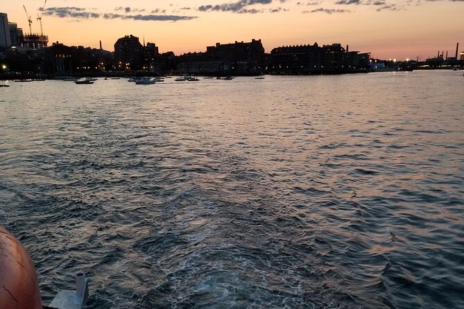 Narrated Sunset Cruise of Boston Harbor - Who will enjoy this cruise most