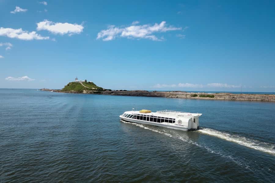 Newcastle: Harbour Cruise with Buffet Lunch - The renewed foreshore and Kooragang wetlands