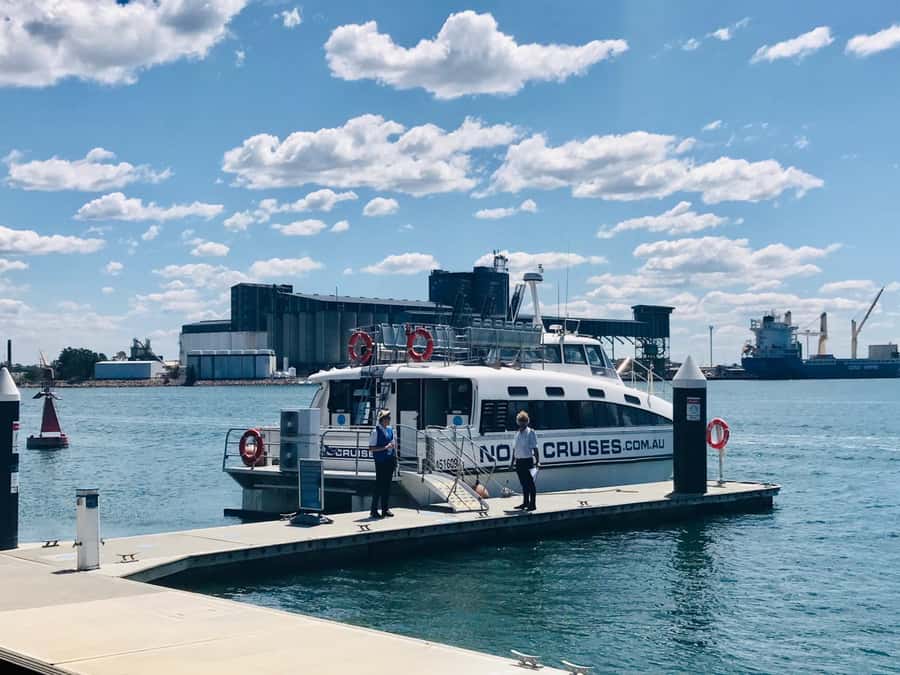 Newcastle: Humpback Whale Watching Cruise and Harbor Tour - Searching for humpbacks from the catamaran