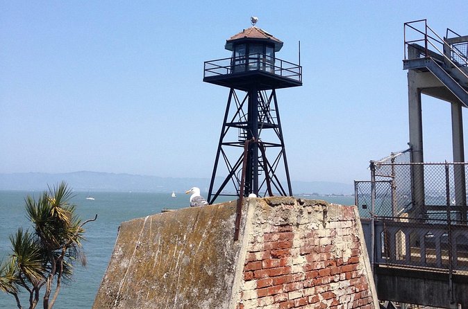 Official Alcatraz Tour with Golden Gate Bridge Bay Cruise - Seeing Alcatraz from the bay