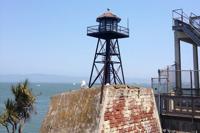 Official Alcatraz Tour with Golden Gate Bridge Bay Cruise - Booking and cancellation details to weigh
