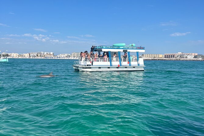 One Hour Harbor Shared Tour with Dolphin Watching - What this Destin harbor tour is really like