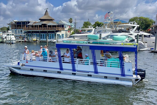 One Hour Harbor Shared Tour with Dolphin Watching - Why the 18-person limit matters