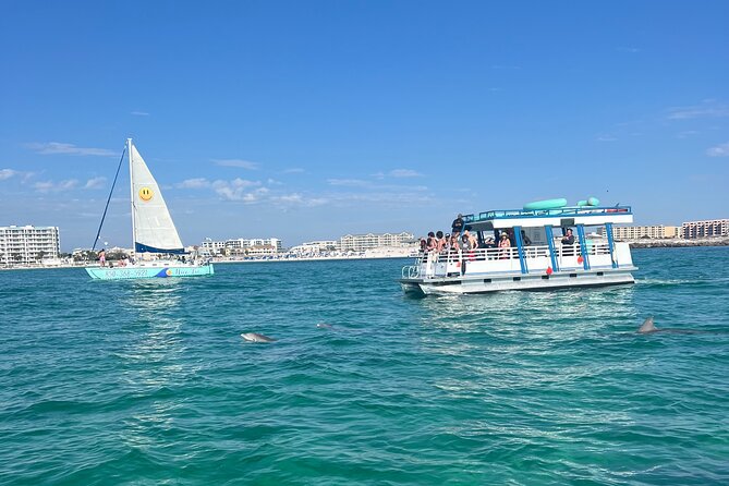 One Hour Harbor Shared Tour with Dolphin Watching - Is $30 a fair price?