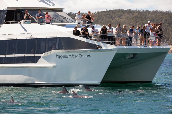Peppermint Bay Cruise & Lunch - Key points to know before booking