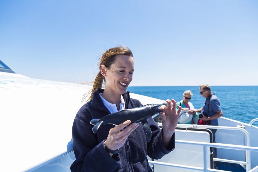 Perth: Whale Watching Cruise from Hillarys Boat Harbour - Practical choices before you book
