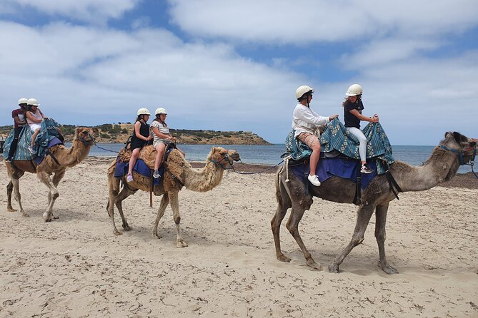 Premium Victor Harbor, Port Elliot and d'Arenberg Minibus Tour - Why this day trip works from Adelaide