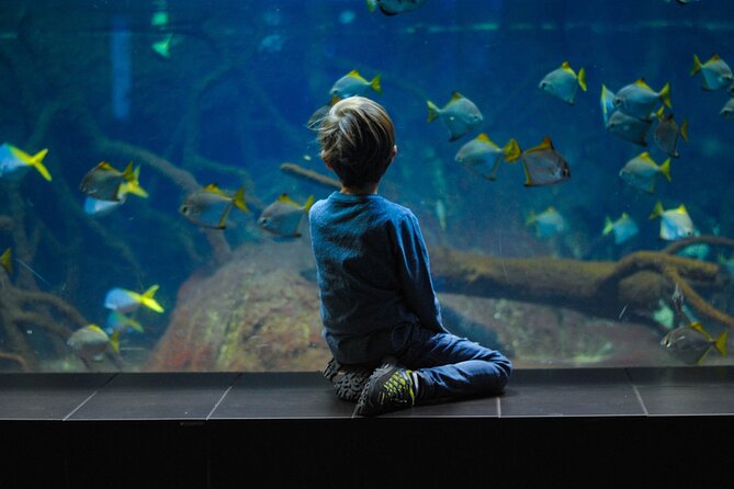 Private Hamad Port Tour in Mesaieed |Aquarium |Maritime Museum - Why Hamad Port tells a bigger Qatar story