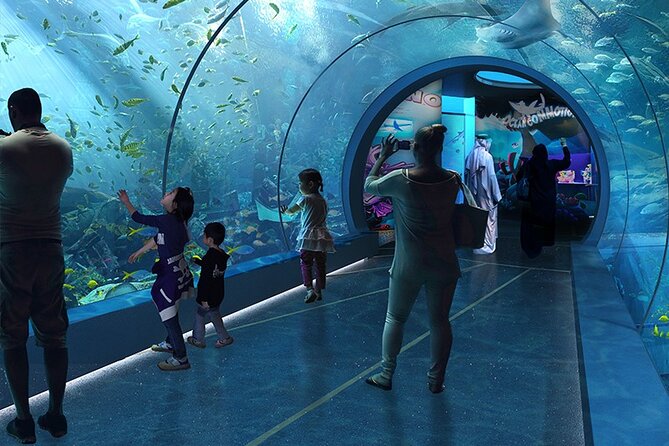 Private Hamad Port Tour in Mesaieed |Aquarium |Maritime Museum - The maritime museum, where ships become part of the story