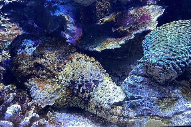 Private Hamad Port Tour in Mesaieed |Aquarium |Maritime Museum - The 4D cinema moves beyond a normal film