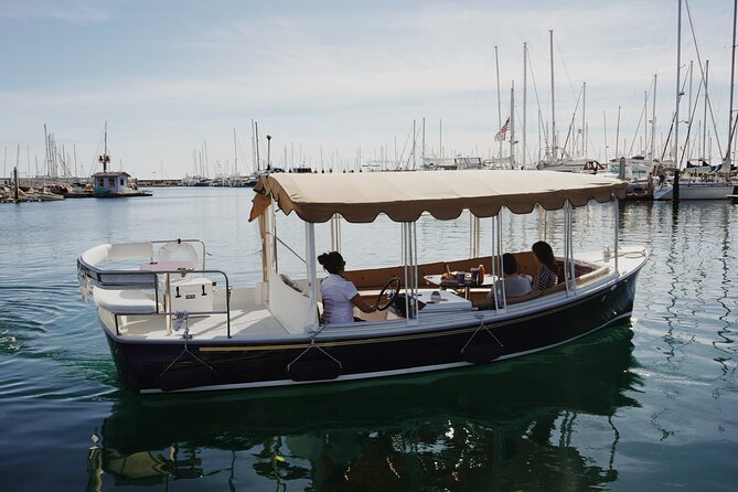 Private Harbor Cruise on Electric Boat in Santa Barbara - What the private electric boat is really like