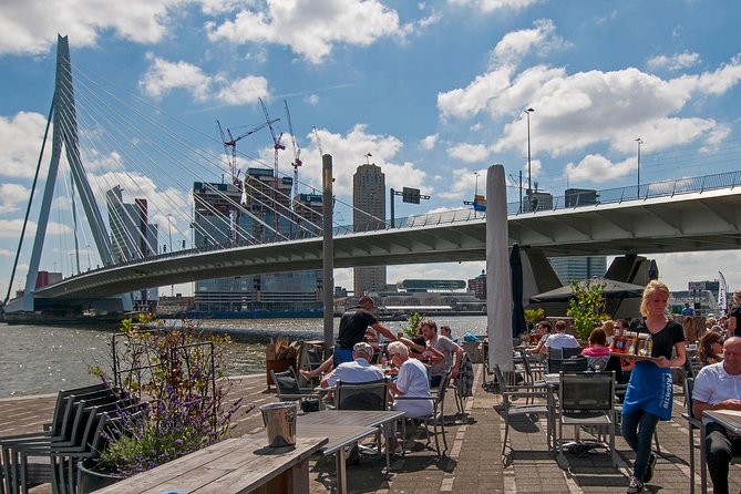 Private Tour: Rotterdam Walking Tour Including Harbor Cruise - Museumpark’s architectural sampler