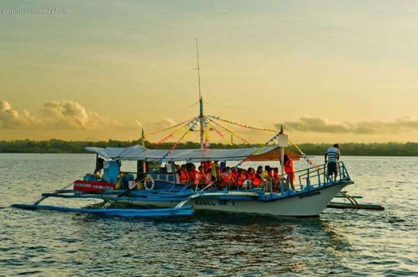 Puerto Princesa: Firefly Watching Bay Cruise with Dinner - Timing, comfort, and the practical details
