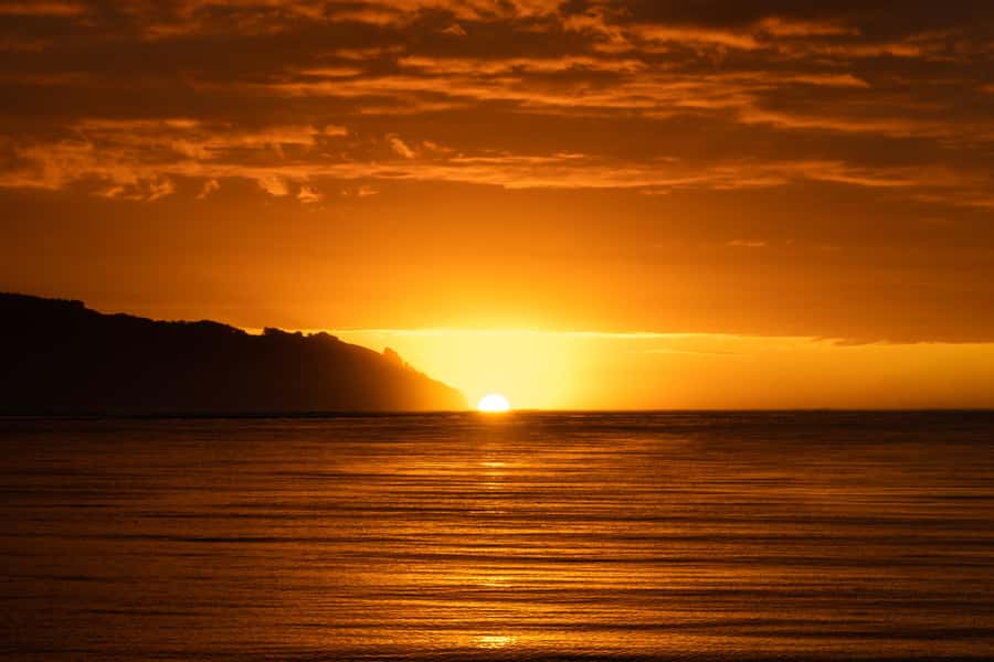 Raglan: Scenic Harbour Sunset Cruise - Who will enjoy this most?