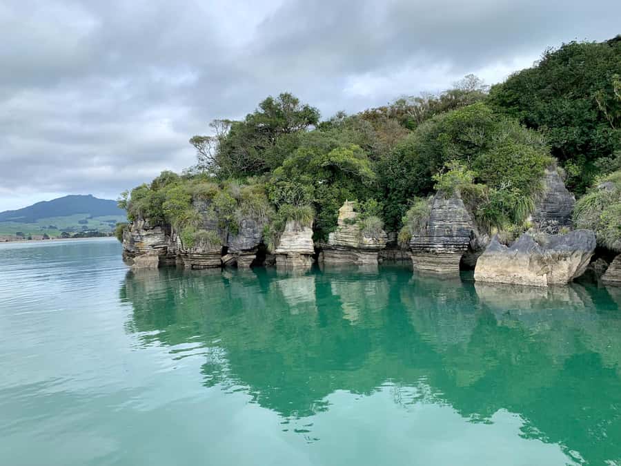Raglan: Scenic Harbour Sunset Cruise - The sunset, clouds, and changing weather
