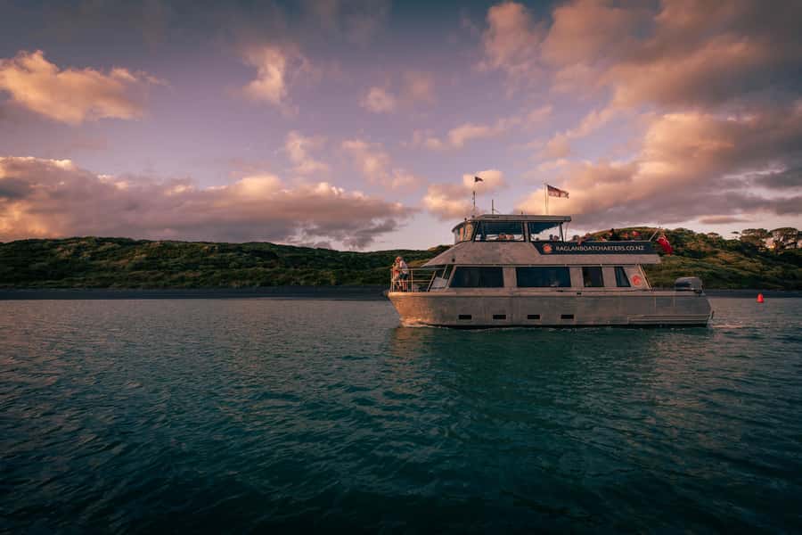 Raglan: Scenic Harbour Sunset Cruise - Food and drink planning