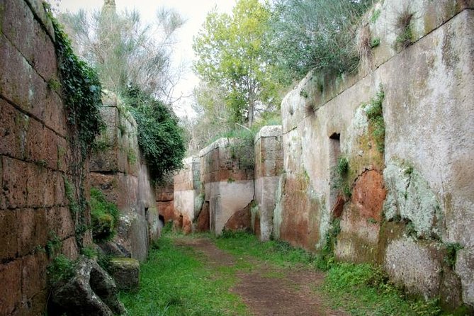 Rome's Enchanting Countryside Port Tour(Driver Only/Self Touring) - Cerveteri’s Banditaccia Necropolis: streets for the dead