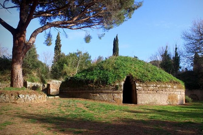 Rome's Enchanting Countryside Port Tour(Driver Only/Self Touring) - Who should book this outing?