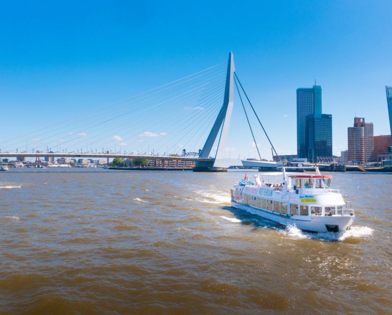 Rotterdam: Harbor Cruise with Live Guide - Who will enjoy this cruise most?