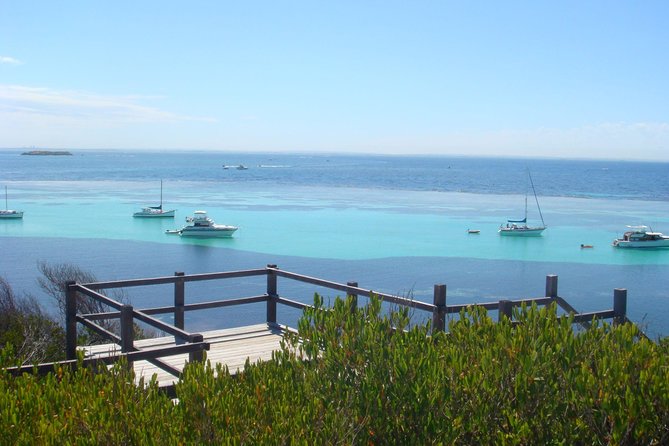 Rottnest Bayseeker Bus Tour from Hillarys Boat Harbour - Why the Hillarys departure matters