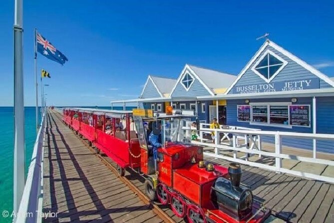 Rottnest Bayseeker Bus Tour from Hillarys Boat Harbour - Quokkas, beaches, and free time