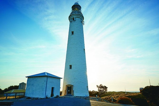 Rottnest Bayseeker Bus Tour from Hillarys Boat Harbour - Crossing the Indian Ocean on Rottnest Fast Ferries