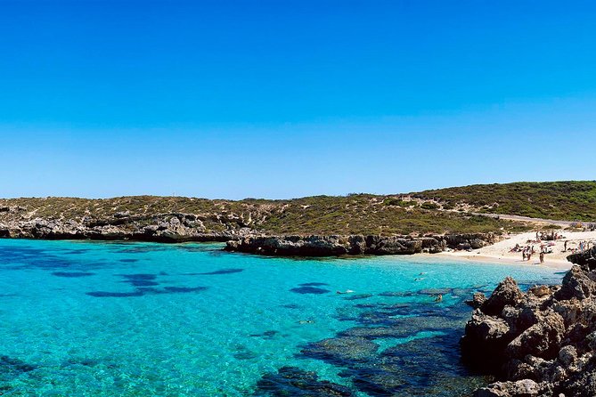 Rottnest Island Roundtrip Fast Ferry from Hillarys Boat Harbour - Who will get the most from this trip