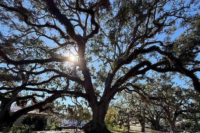 Safety Harbor Food Tour - Pop-in stops depend on time
