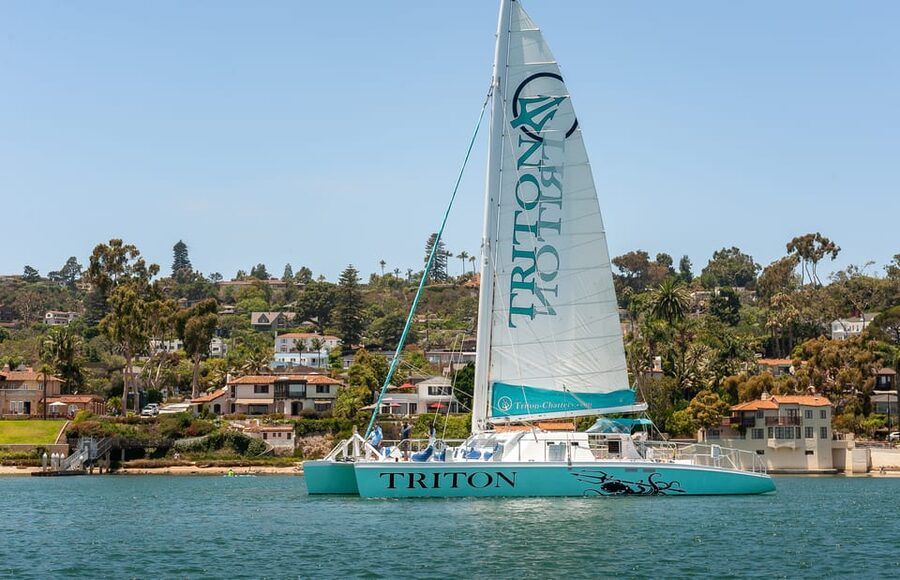 San Diego Harbor Cruise: 2.5 hour Catamaran Cruise - Key Points Before You Book