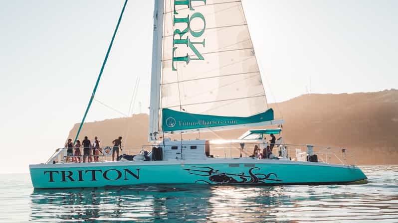 San Diego Harbor Cruise: 2.5 hour Catamaran Cruise - The First Views Across San Diego Bay
