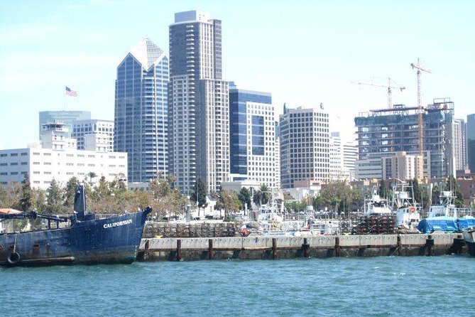 San Diego Harbor Cruise - Sea lions, pelicans, and the small surprises