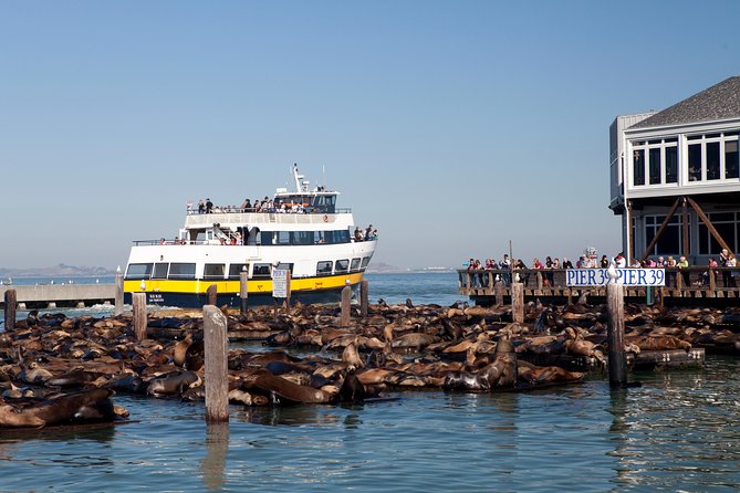 San Francisco Bay Cruise - Crossing the Bay Toward the Golden Gate Bridge