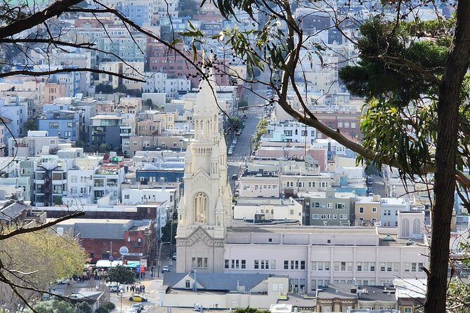 San Francisco Bay Cruise and City Combo Tour - The Painted Ladies at Alamo Square